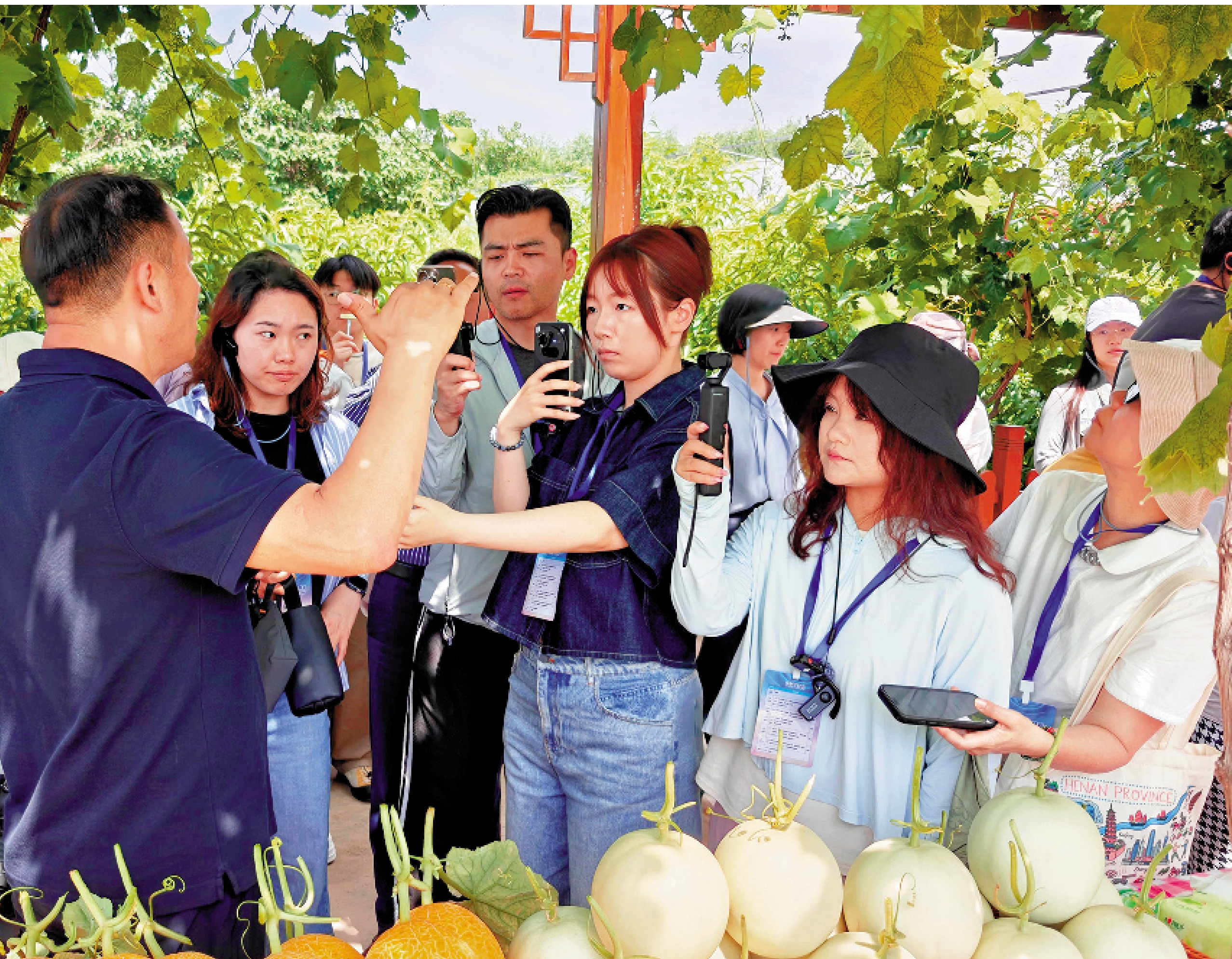 　　圖：兩岸媒體人在河南蘭考參觀果園。