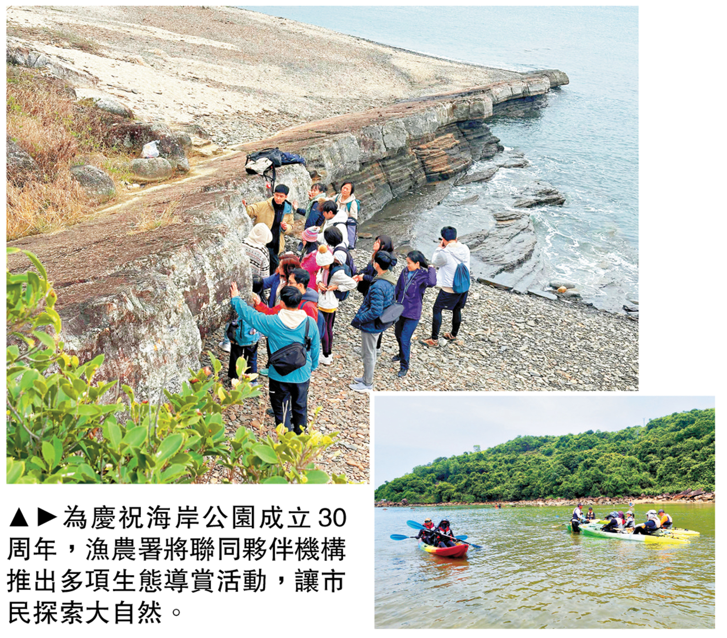　　圖：為慶祝海岸公園成立30周年，漁農署將聯同夥伴機構推出多項生態導賞活動，讓市民探索大自然。
