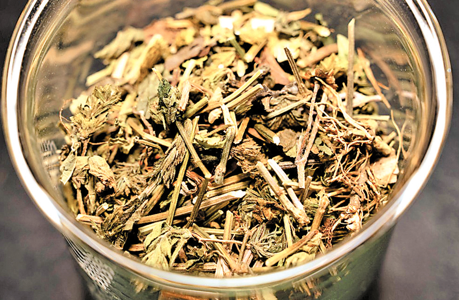 　　圖：浸大團隊發現，中藥植物「爵床屬」的提取物具有強效抗病毒特性。