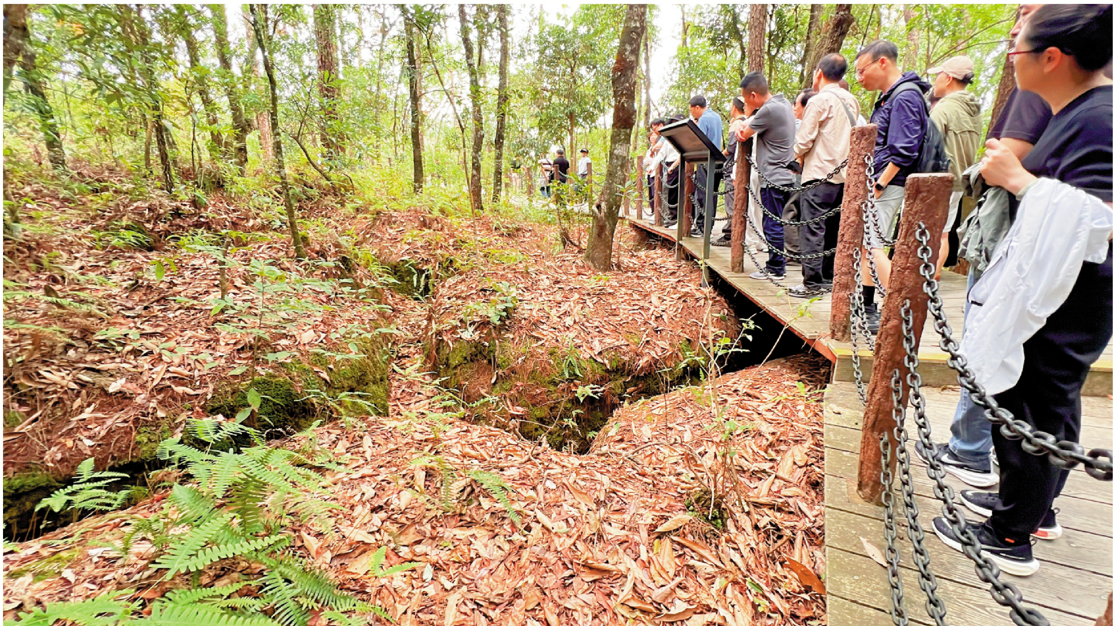 　　圖：松山大戰遺址紀念園，萬餘米戰壕、地堡、彈坑等戰場痕跡依舊清晰可見。\大公報記者譚旻煦攝