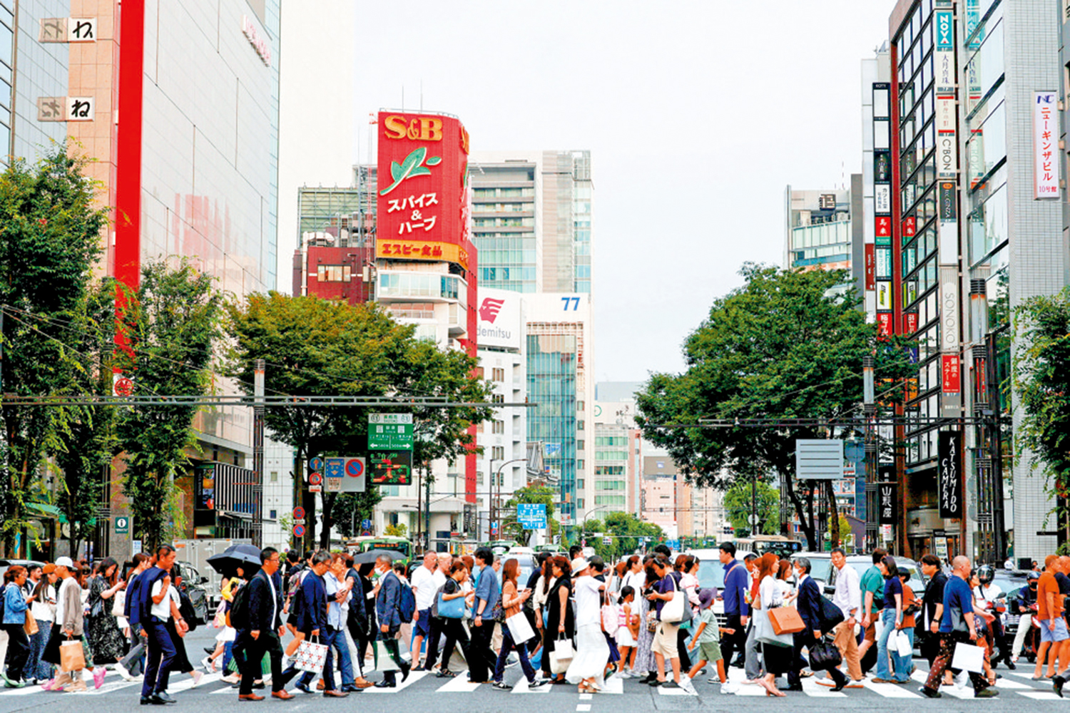 　　圖：日本從7月起調整外國人簽證收費，為原來的5倍。圖為首都東京的一個購物區。\路透社