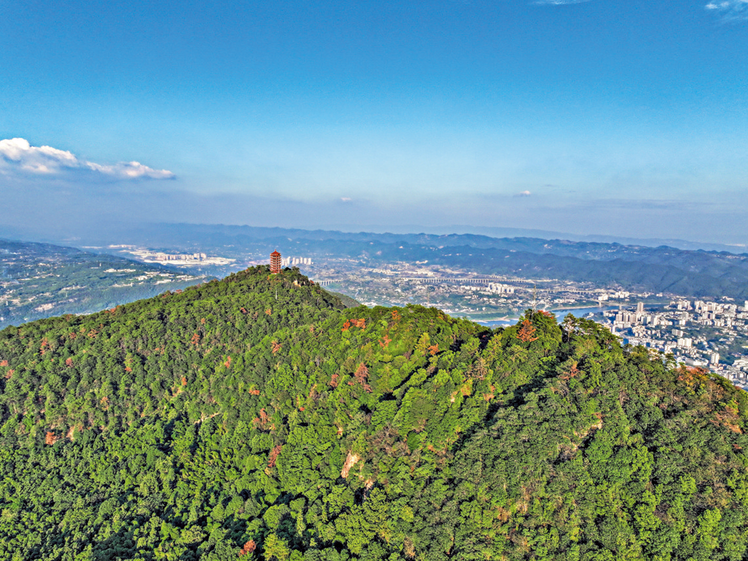　　圖：重慶市北碚區的縉雲山國家級自然保護區景象。\資料圖片