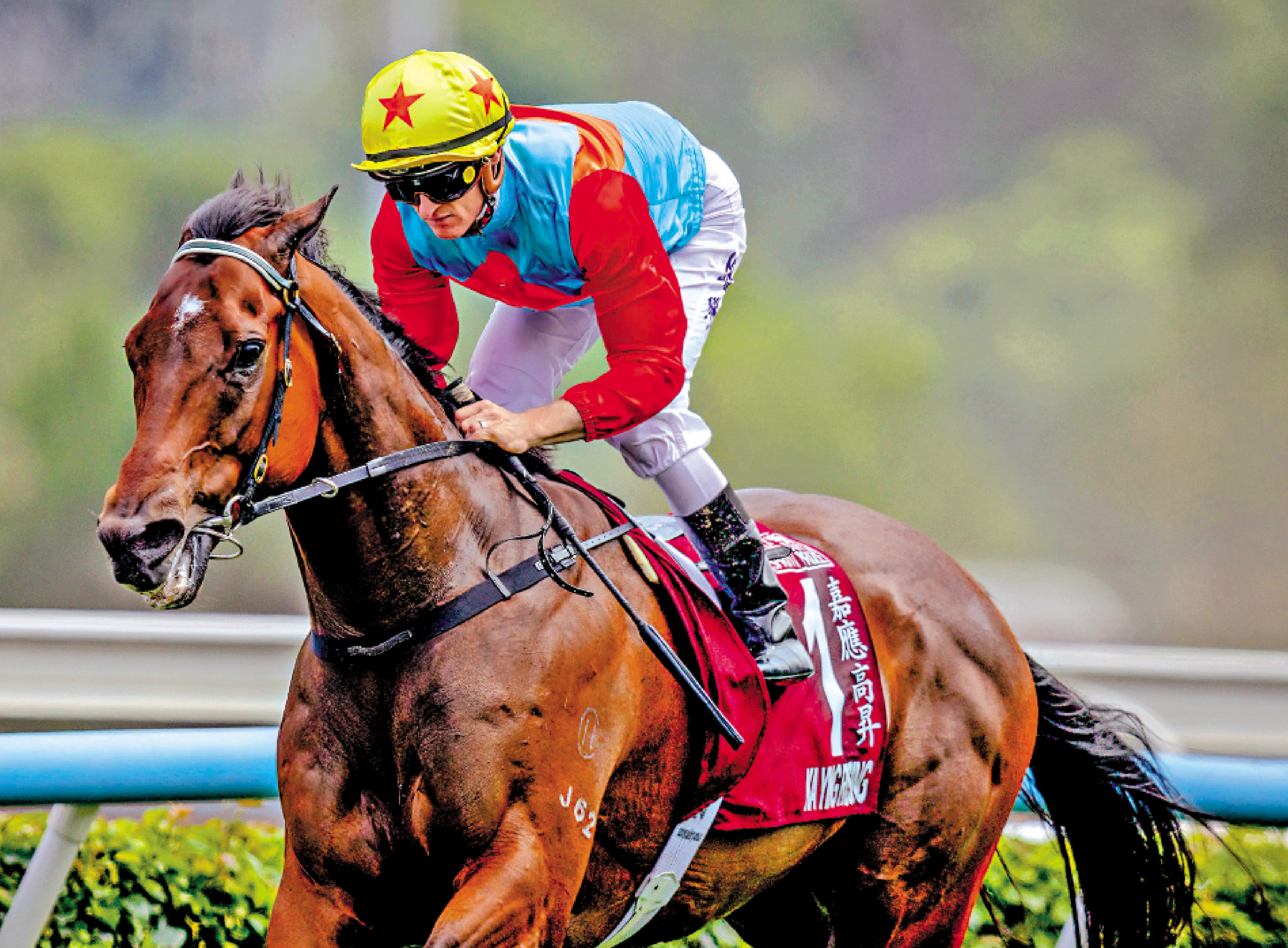 　　圖：「嘉應高昇」連續兩年榮膺香港馬王。