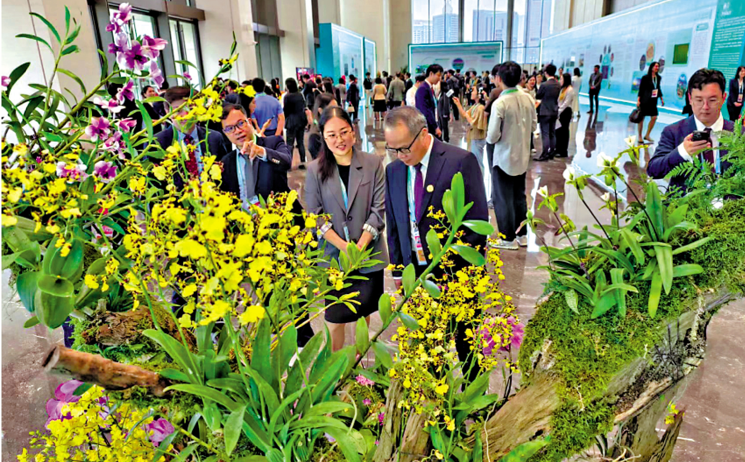 　　圖：2026年APEC林業部長級會議27日至28日在深圳舉行。圖為與會代表在會議現場了解粵港澳大灣區生態建設。\大公報記者毛麗娟攝