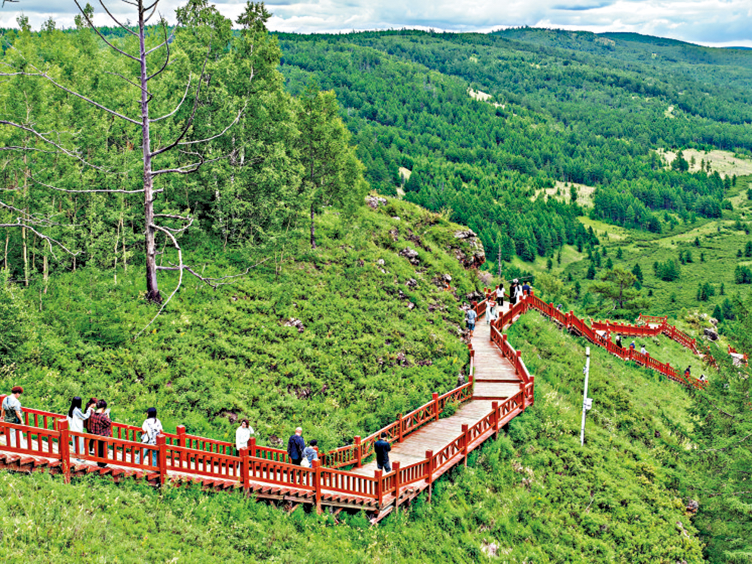 　　圖：駝峰嶺天池木棧道。\大公報記者王月攝