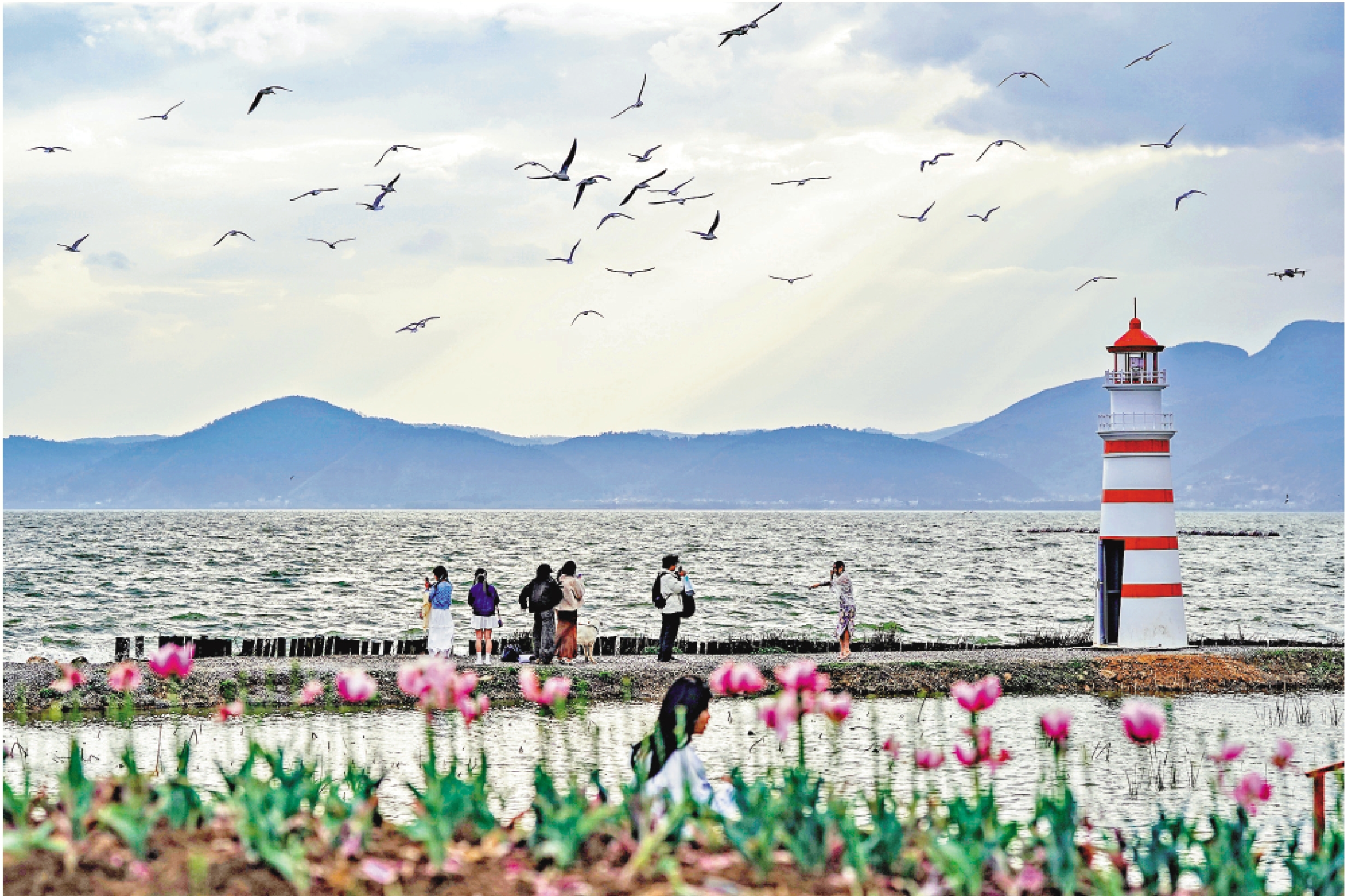 　　圖：雲南昆明滇池一景。\新華社