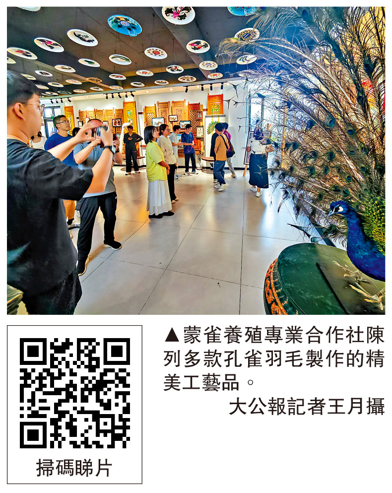 　　圖：蒙雀養殖專業合作社陳列多款孔雀羽毛製作的精美工藝品。\大公報記者王月攝