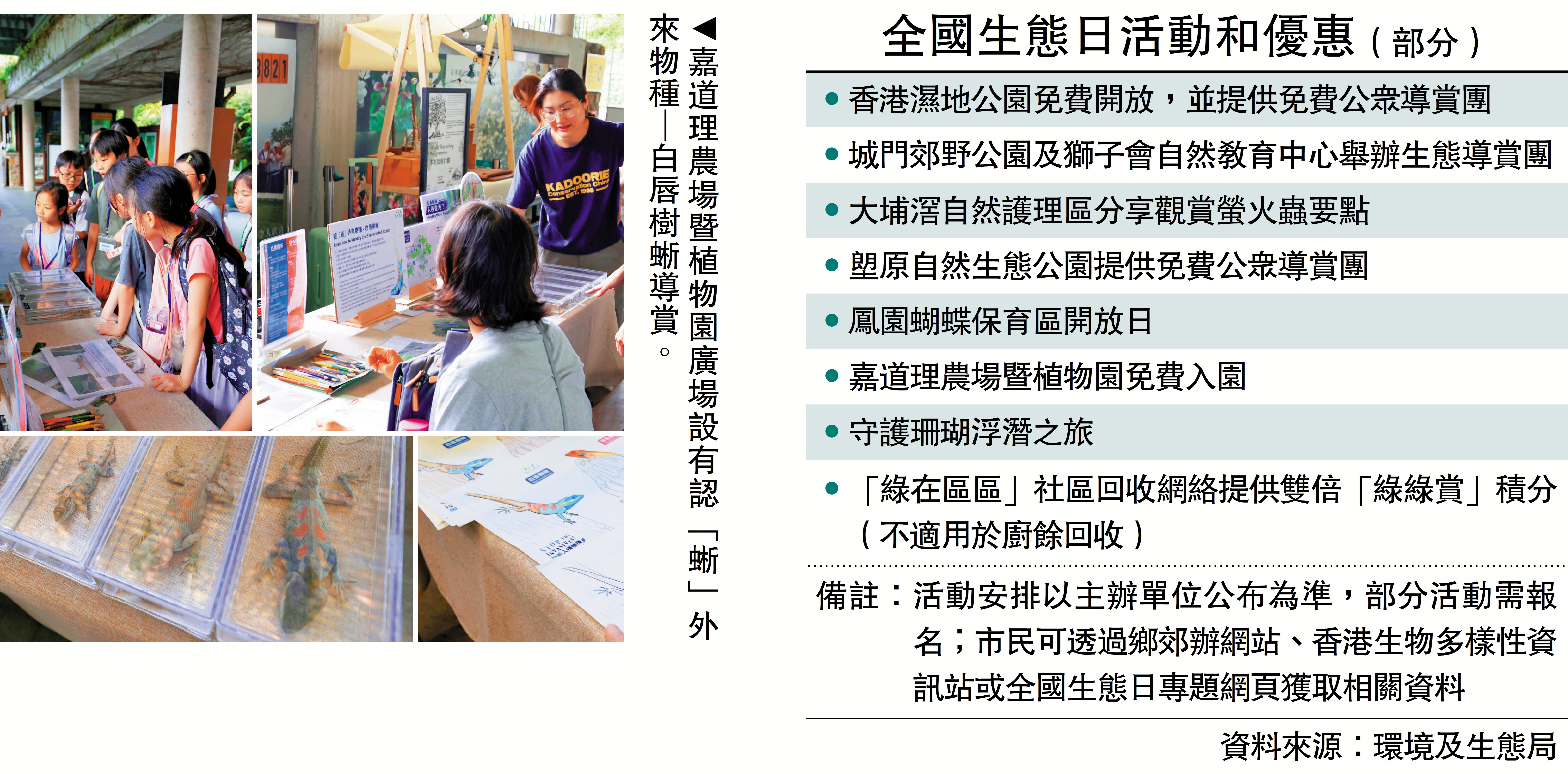 　　圖：嘉道理農場暨植物園廣場設有認「蜥」外來物種─白唇樹蜥導賞。