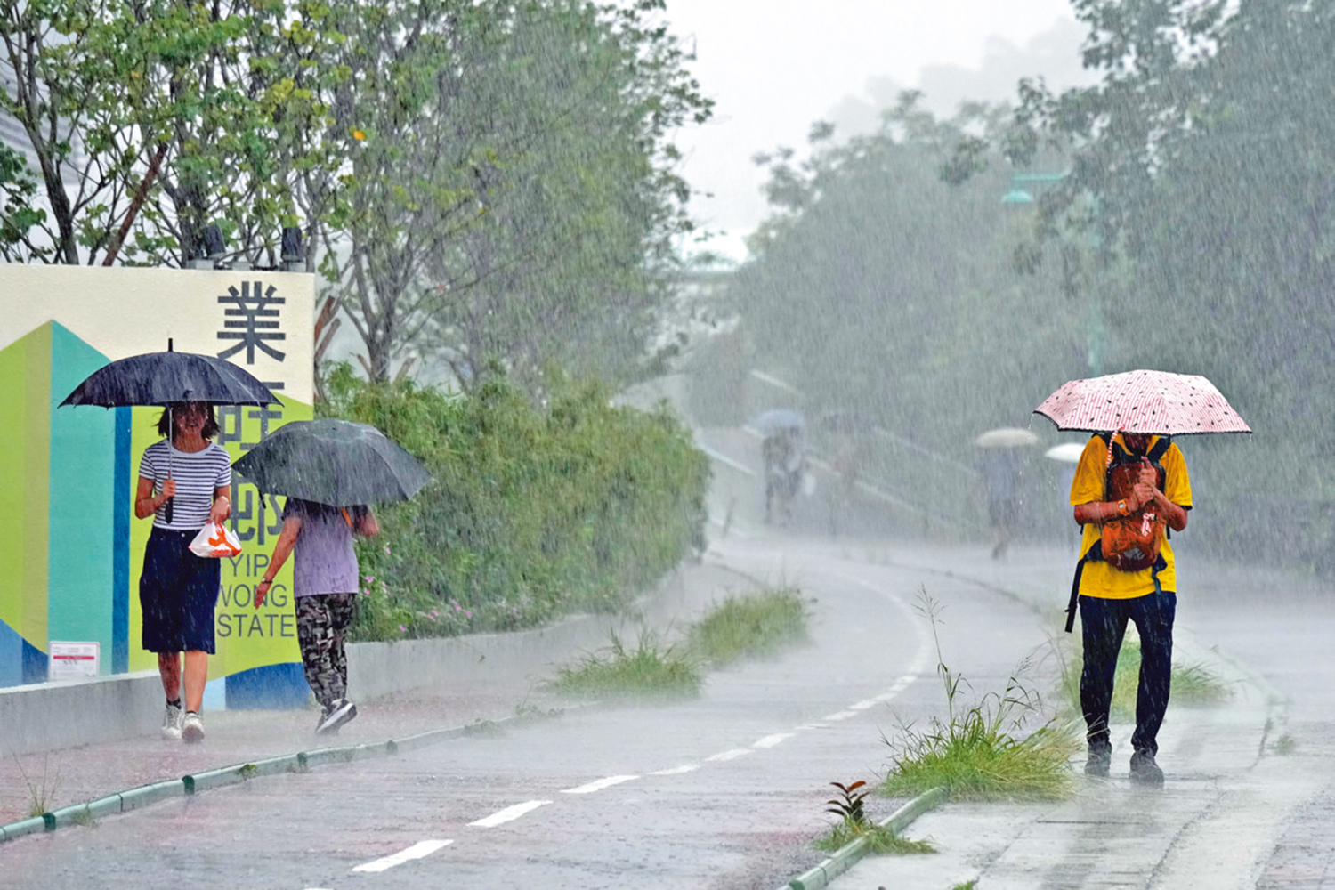 　　圖：本港極端天氣越趨頻繁，必須強化電網抵禦惡劣天氣的能力。\大公報記者黃洋港攝