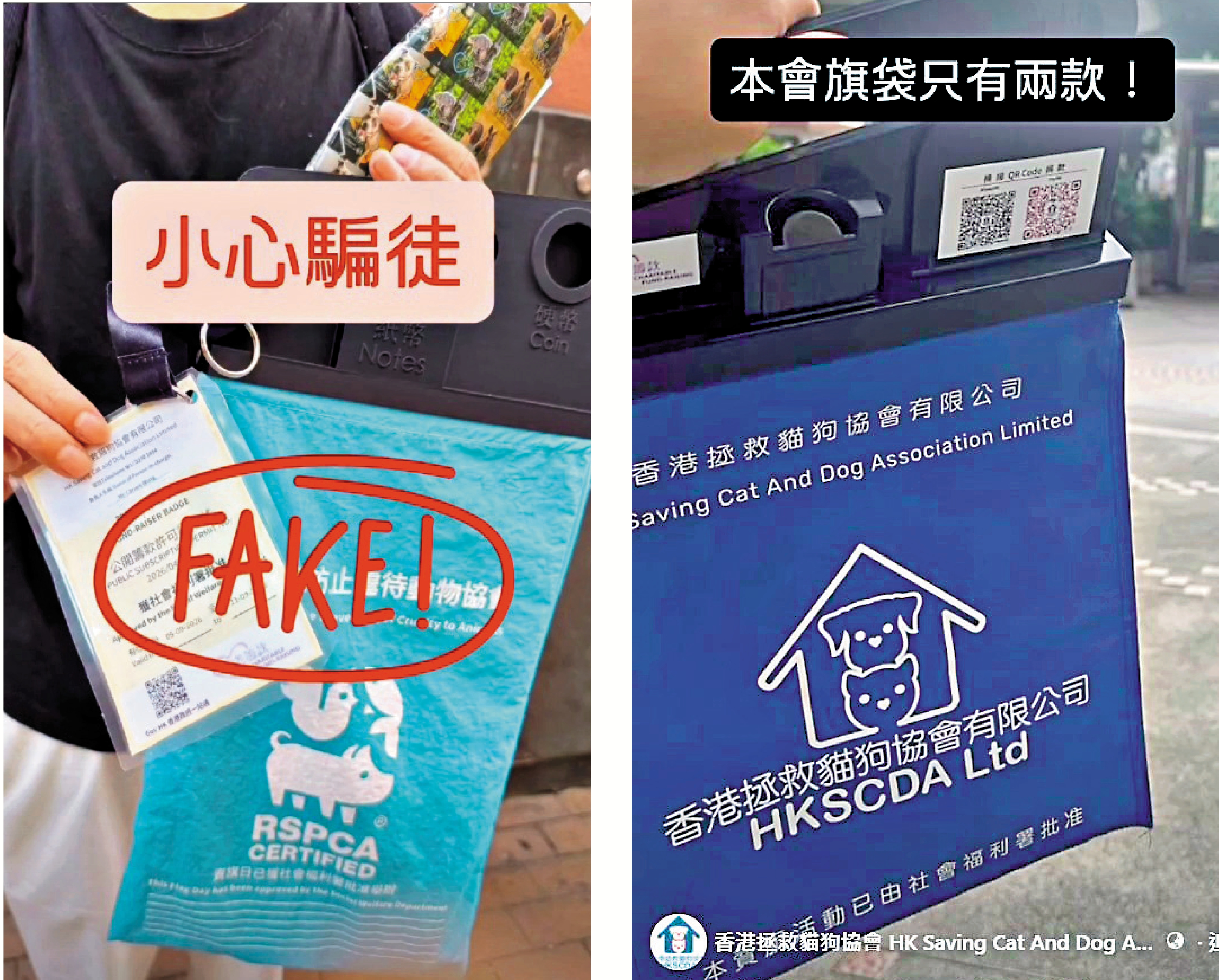 　　圖：香港拯救貓狗協會在社交平台提醒市民，有騙徒用天藍色假旗袋偽冒該協會在街上賣旗行騙。該協會的旗袋為深藍色。\視頻截圖