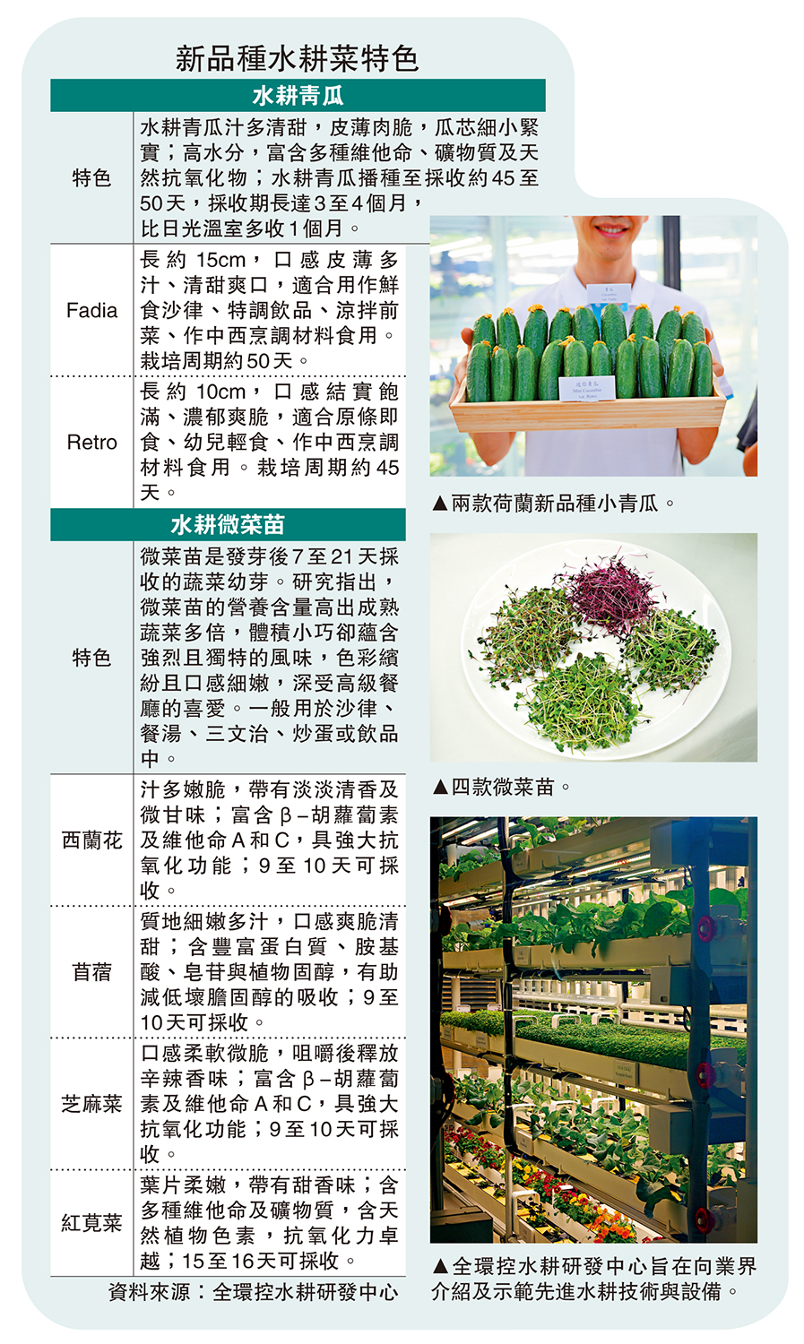 　　圖：新品種水耕菜特色