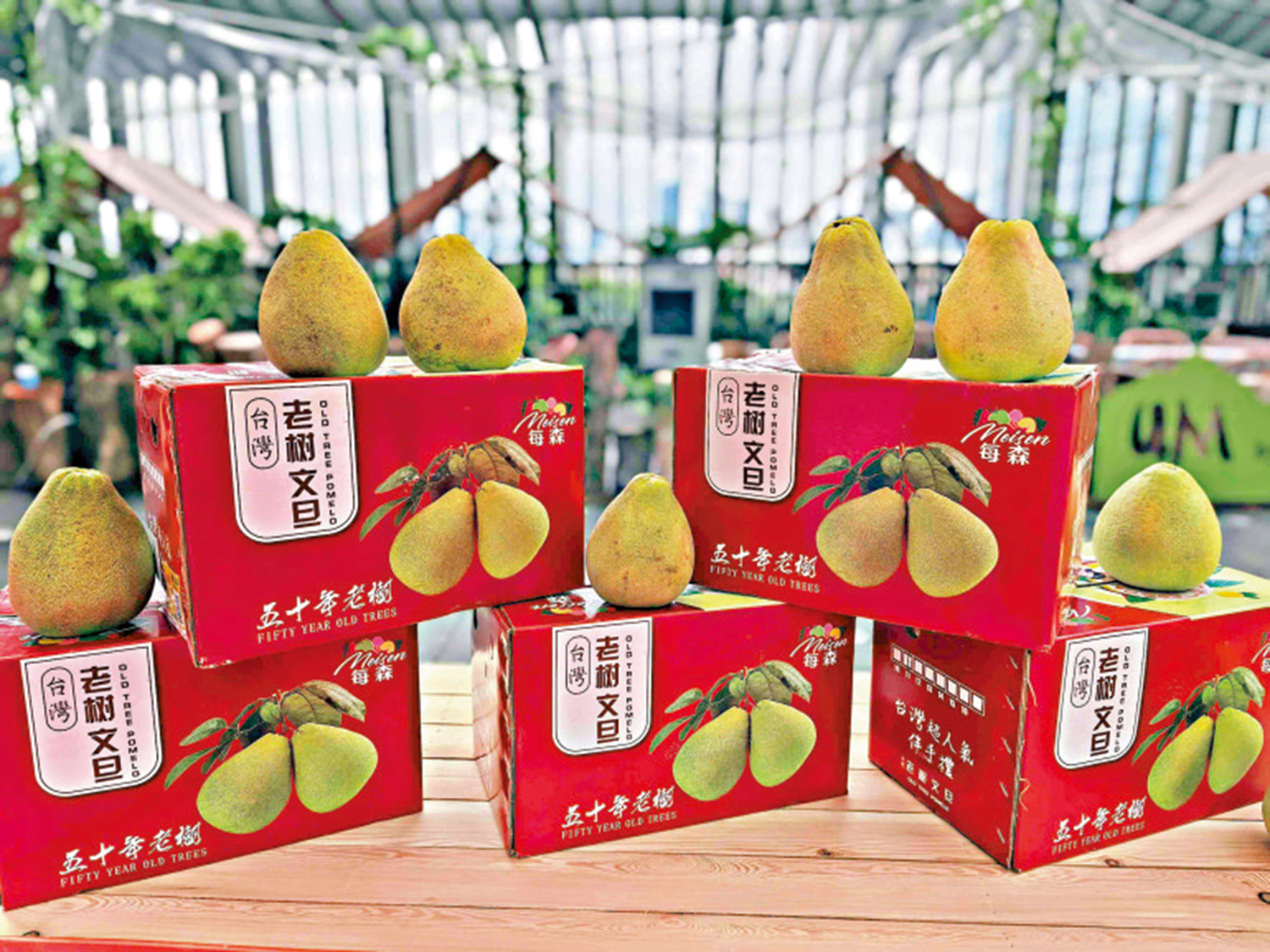 　　圖：深圳最近舉辦「品寶島文旦柚」交流活動。\大公報記者郭若溪攝