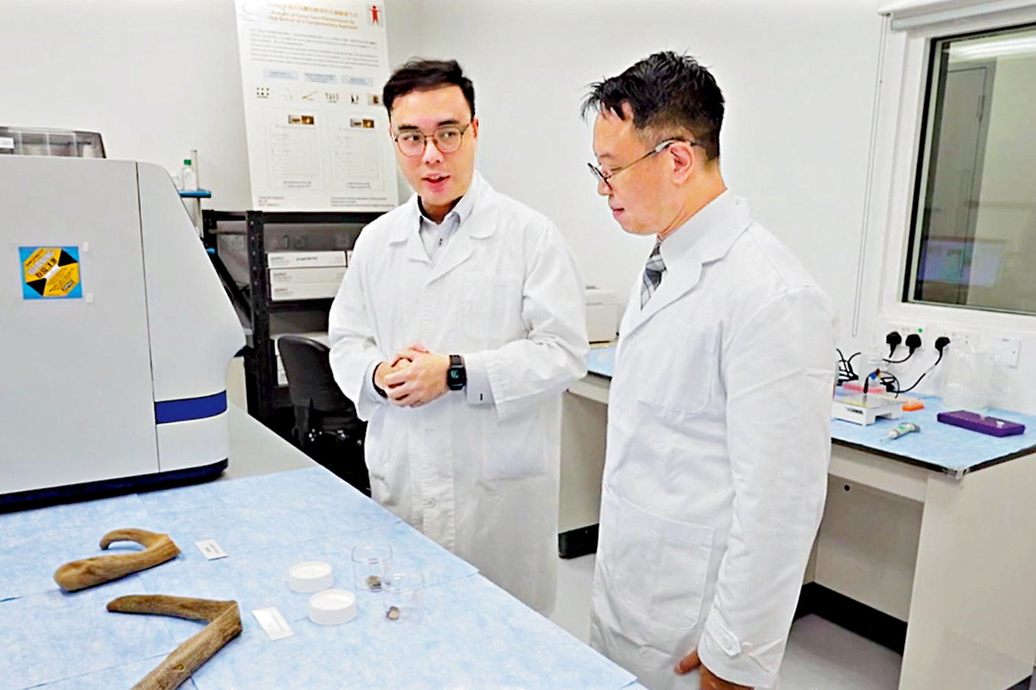 　　圖：政府中藥檢測中心，檢測確認正品鹿茸可縮短至一天內完成。\視頻截圖