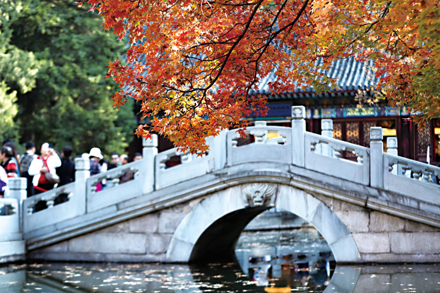　　圖：北京香山公園勤政殿，紅楓吸引遊客。\資料圖片