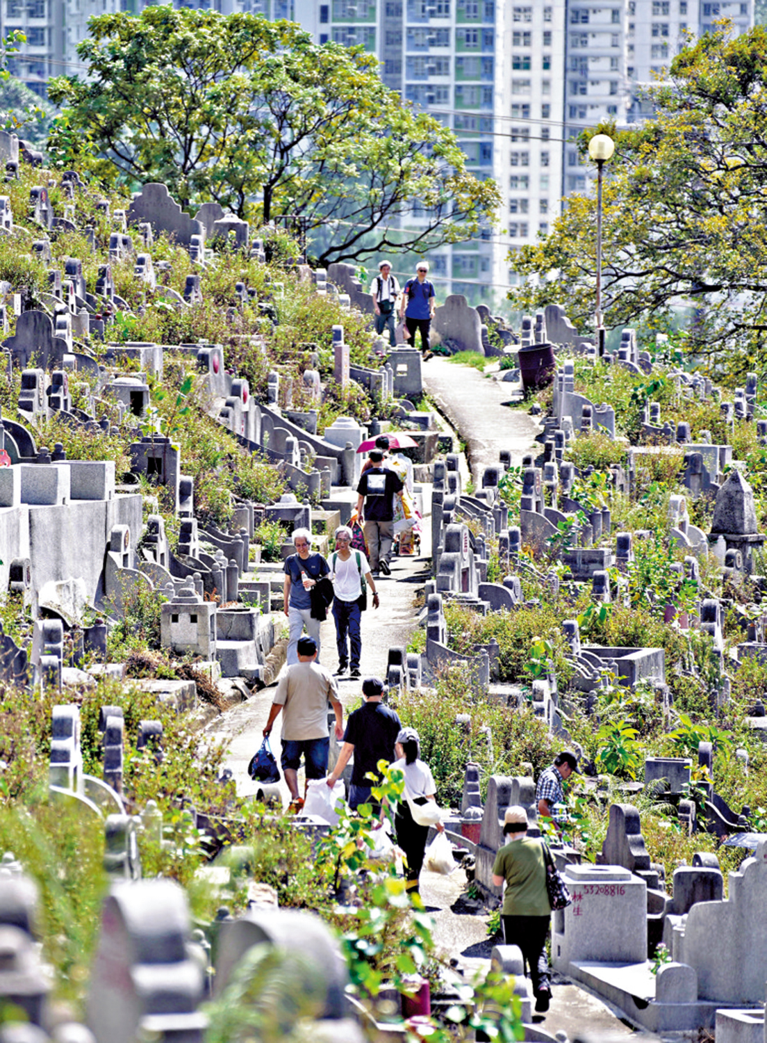 　　圖：孝子賢孫帶同鮮花、燒肉和水果等祭品，前往拜祭先人。\大公報記者何嘉駿攝