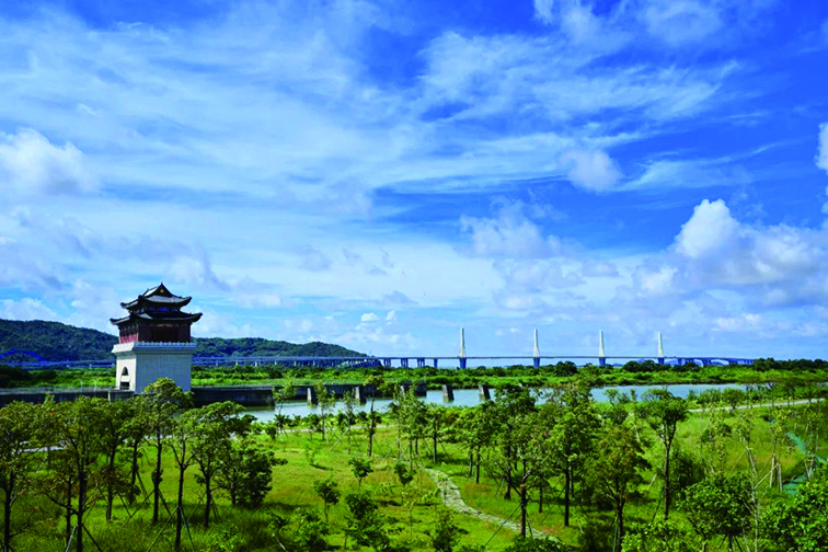 　　圖：廣東珠海橫琴國家濕地公園