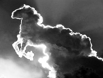 　■「神馬都是浮雲」不是一匹馬，也不是一片雲，而是意為什麼都不值得一提。 網上圖片