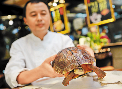 ■「龜盅補」龜苓膏選料上乘,古方秘製。