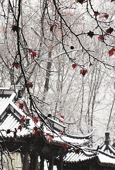 　■降下初雪的杭州美景。	香港文匯報杭州傳真