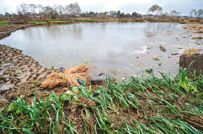 　■江西會昌縣周田鎮新圩村一塊農田塌陷成水塘。 新華社