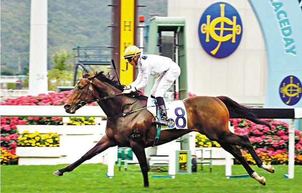 ■「金鎗六十」在騎師何澤堯胯下勝出華商會挑戰盃。