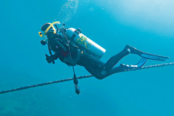  ■對於初學者來說，一開始便到開放水域學習是非常困難的。 資料圖片