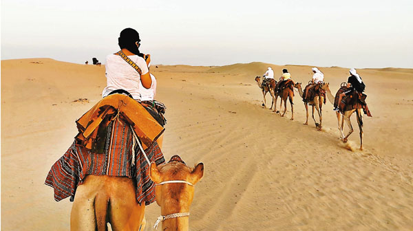 ■衛生署建議不應騎乘駱駝，或參與接觸駱駝活動。  資料圖片