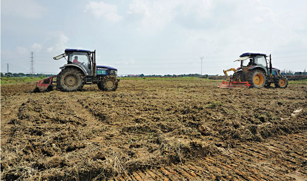 隆平公園一期大吉沙水稻公園正式開耕。香港文匯報記者敖敏輝  攝