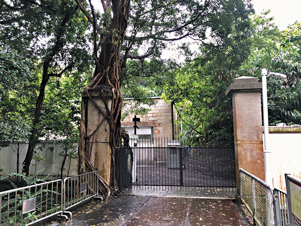 ■軍火庫的古雅庭院和古榕又是一景點。