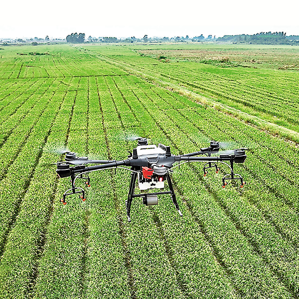 ■無人機進行農藥噴灑，10分鐘將6畝麥田噴灑完畢。