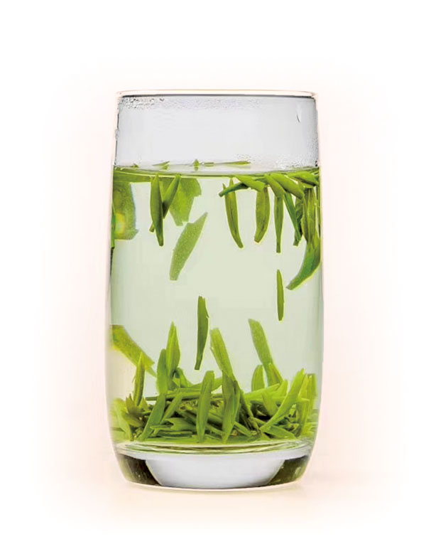 ■雀舌茶葉色翠、香高、味醇、形美，品質上乘，香高味爽。