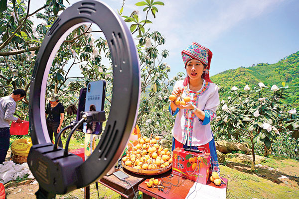 ■近日，廣西龍勝各族自治縣的枇杷進入收穫期，工作人員通過網絡直播銷售枇杷。