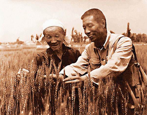 ■ 中國農業育種「功臣」趙洪璋與農民在麥田中。香港文匯報西安傳真