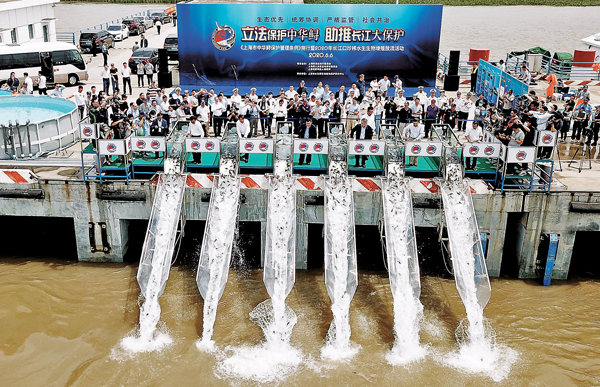 ■  6月6日，2020年長江口珍稀水生生物增殖放流活動在上海崇明區長江口水域舉行。  新華社