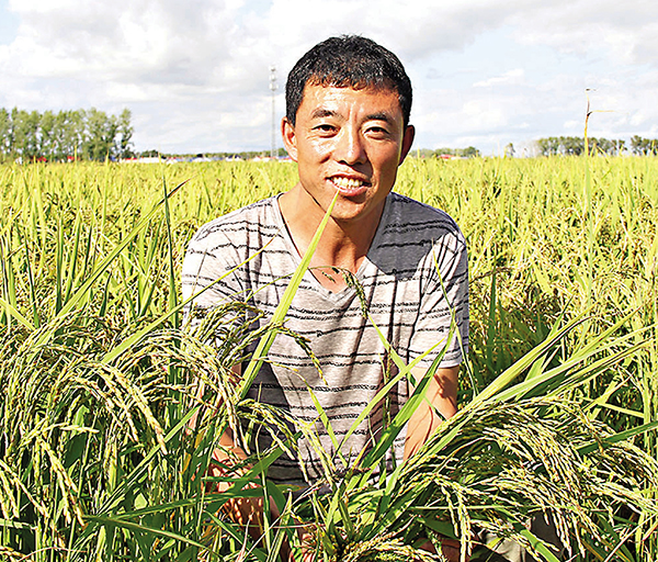■趙德山估算，今年每畝水稻能增產150斤。圖為趙德山握稻穗在田裏留影。