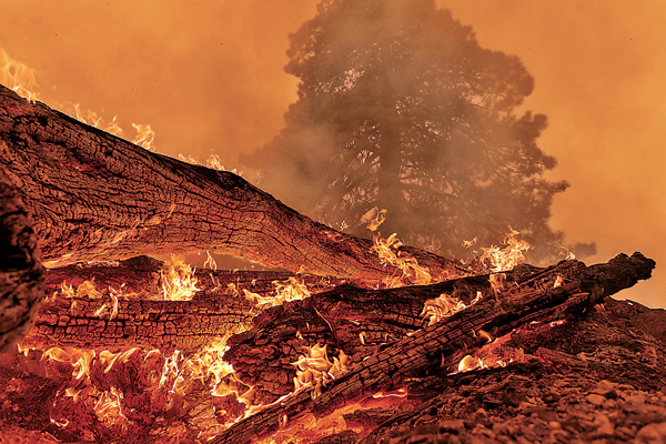 ■美國加州大片國家森林被燒毀。 法新社