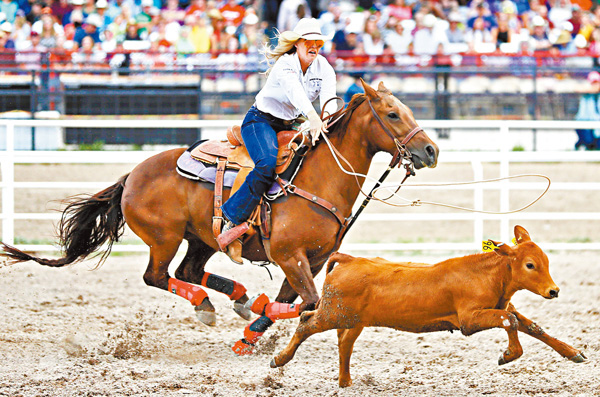 ■牛仔的工作真的是趕牛，絕不是神射手。 資料圖片