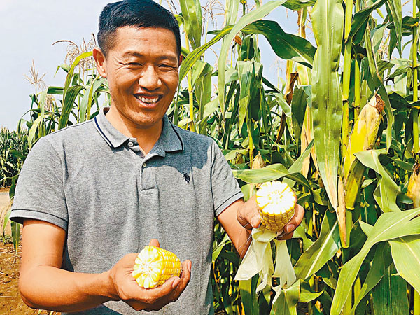 丁照華。香港文匯報記者丁春麗  攝