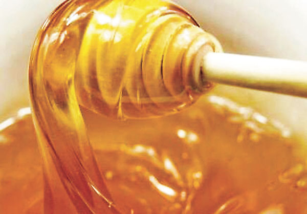 ■麥芽糖可以調理健康。作者供圖