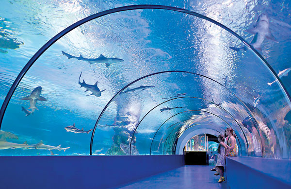 ■ 水族館應否圈養動物引起社會關注。 網上圖片