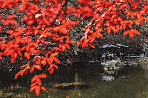 ■杜牧的作品色彩強烈，《山行》一詩描寫一片紅色的楓林。資料圖片