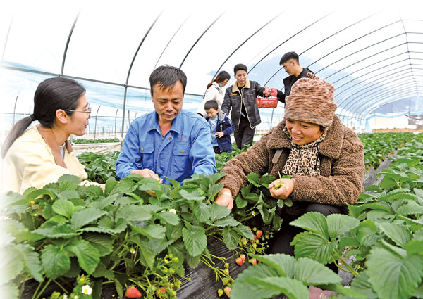 ● 鄉村振興和推進產業扶貧過程中，積極引導鼓勵農民充分利用當地特色產業，助力農戶增收致富。圖為福建省寧德市古田縣農民發展有機水果、特色菌菇等種植產業，藉此帶動當地勞動力就業。 新華社