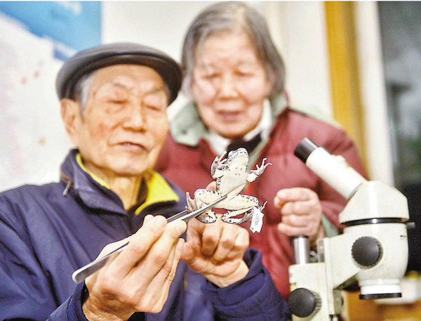●費梁（左）、葉昌媛夫婦在辦公室觀察標本。
