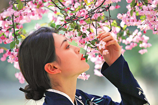 ● 海棠花。 資料圖片