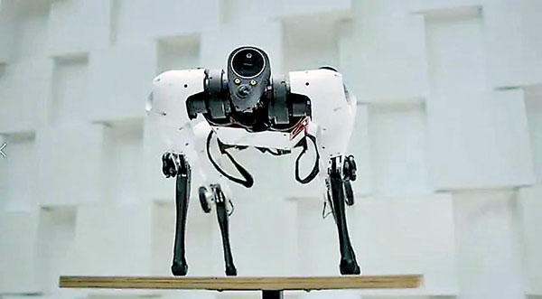 ●  騰訊Robotics X多模態機械狗Max。