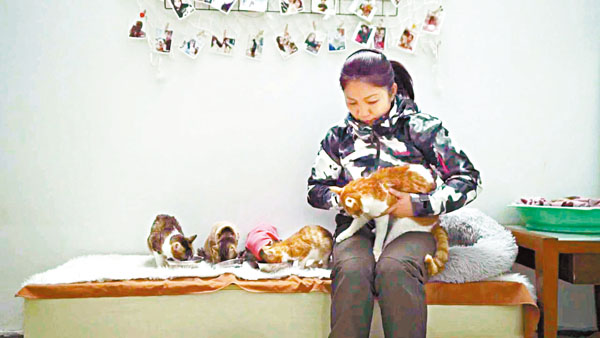 ●梁淼淼希望從根源解決問題，沒有人丟棄貓，就不會有流浪貓。 網上圖片