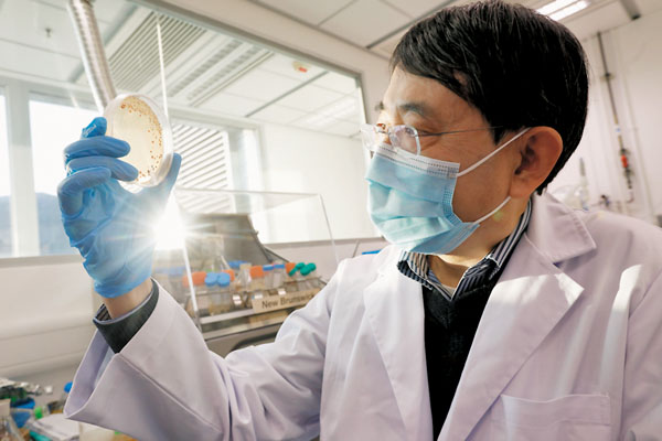 ●錢培元期望從海洋生物的細菌及真菌提取的化合物研究是否能夠製成新一代的抗生素。 香港文匯報記者  攝