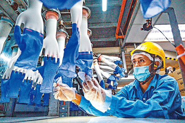 ● 手套廠大批產品被充工。 法新社