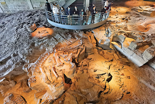 ●自貢恐龍博物館所在「大山鋪恐龍化石群遺址」上，還能看到堆積的恐龍化石。