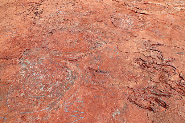 ●4月6日拍攝的科考團隊發現的恐龍足跡化石。 中新社